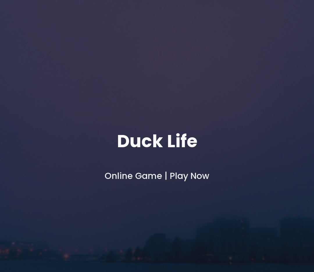 Duck Life Game